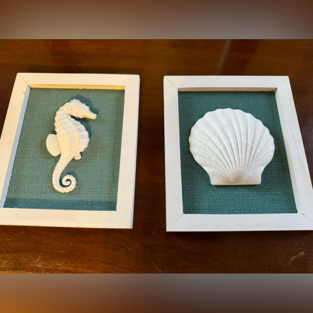 Sea shell wall decor with Frame